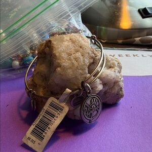 Alex and Ani Gold Charm Bracelet